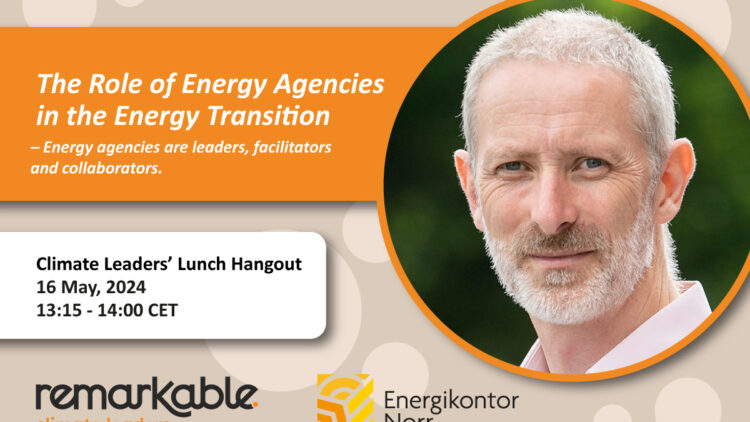 Digital Lunch on the Role of Energy Agencies in the Energy Transition
