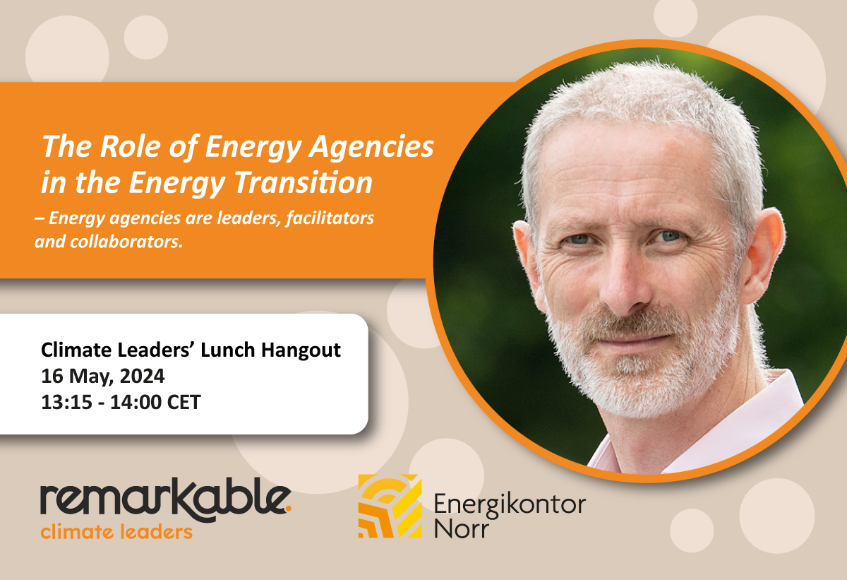 Digital Lunch on the Role of Energy Agencies in the Energy Transition